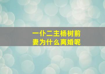 一仆二主杨树前妻为什么离婚呢