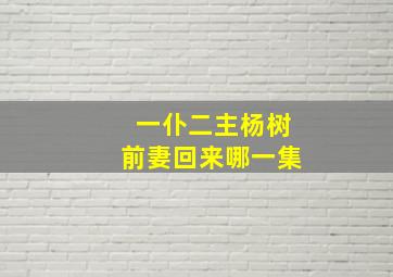 一仆二主杨树前妻回来哪一集