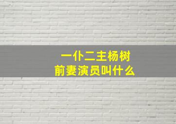 一仆二主杨树前妻演员叫什么