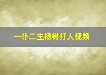 一仆二主杨树打人视频