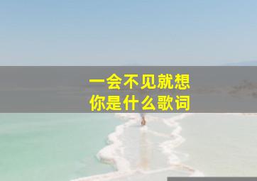 一会不见就想你是什么歌词