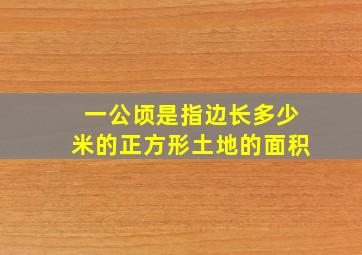 一公顷是指边长多少米的正方形土地的面积