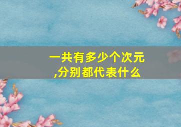 一共有多少个次元,分别都代表什么