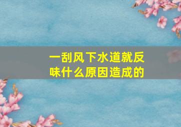 一刮风下水道就反味什么原因造成的