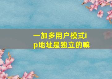 一加多用户模式ip地址是独立的嘛