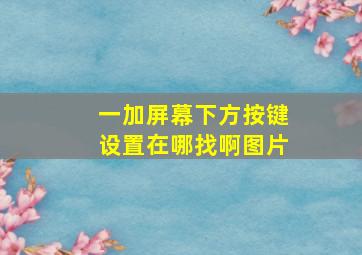 一加屏幕下方按键设置在哪找啊图片