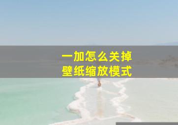 一加怎么关掉壁纸缩放模式