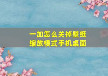 一加怎么关掉壁纸缩放模式手机桌面