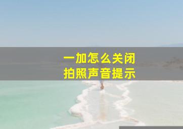 一加怎么关闭拍照声音提示