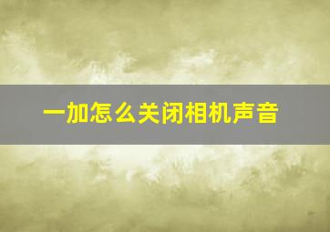 一加怎么关闭相机声音