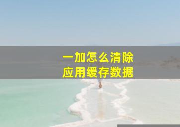 一加怎么清除应用缓存数据