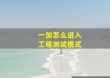 一加怎么进入工程测试模式