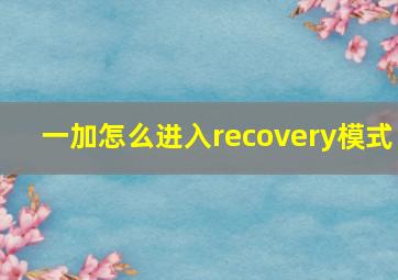 一加怎么进入recovery模式