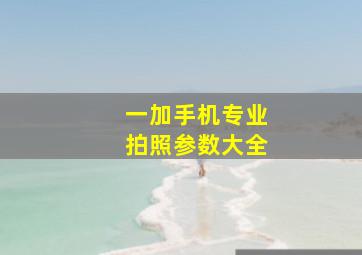 一加手机专业拍照参数大全