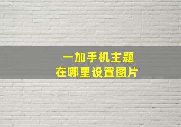 一加手机主题在哪里设置图片