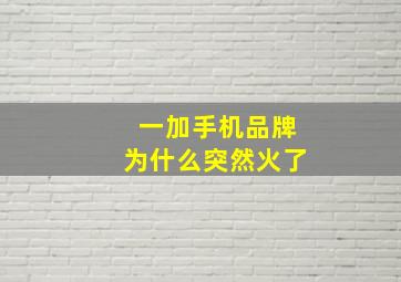 一加手机品牌为什么突然火了