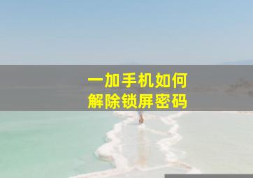 一加手机如何解除锁屏密码