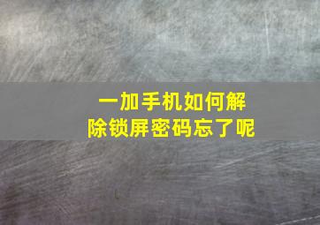 一加手机如何解除锁屏密码忘了呢