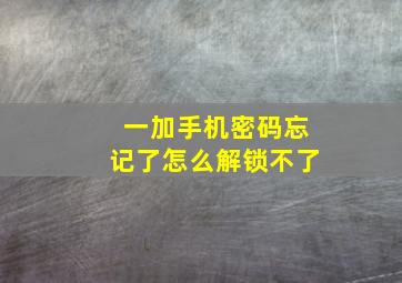 一加手机密码忘记了怎么解锁不了