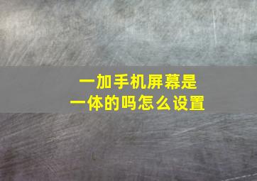 一加手机屏幕是一体的吗怎么设置