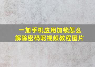 一加手机应用加锁怎么解除密码呢视频教程图片