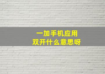 一加手机应用双开什么意思呀