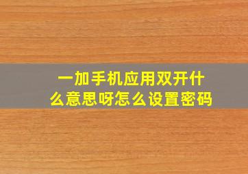 一加手机应用双开什么意思呀怎么设置密码