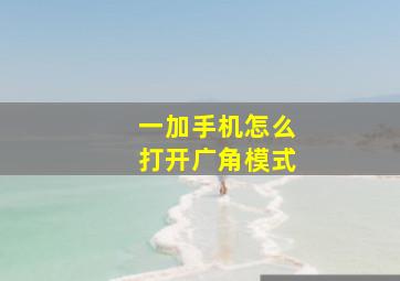 一加手机怎么打开广角模式