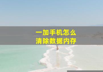 一加手机怎么清除数据内存