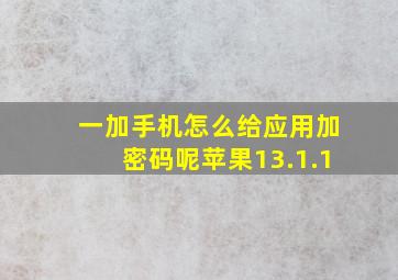 一加手机怎么给应用加密码呢苹果13.1.1