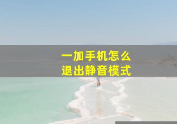 一加手机怎么退出静音模式