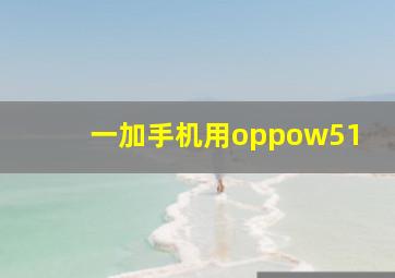 一加手机用oppow51