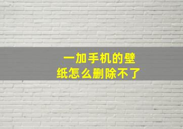 一加手机的壁纸怎么删除不了