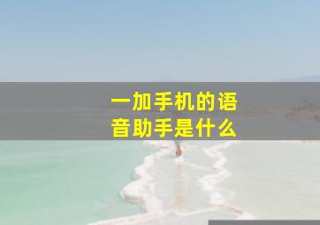 一加手机的语音助手是什么