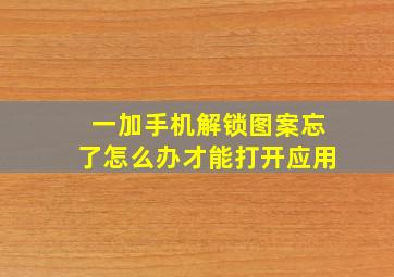 一加手机解锁图案忘了怎么办才能打开应用