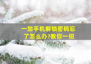 一加手机解锁密码忘了怎么办?教你一招