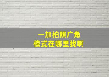 一加拍照广角模式在哪里找啊