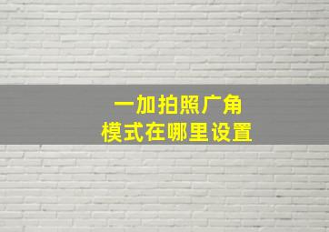 一加拍照广角模式在哪里设置