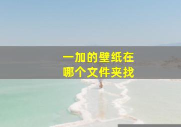 一加的壁纸在哪个文件夹找