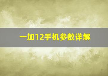 一加12手机参数详解