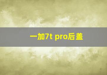 一加7t pro后盖