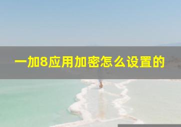 一加8应用加密怎么设置的