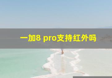 一加8 pro支持红外吗