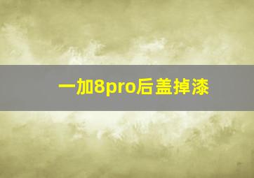 一加8pro后盖掉漆