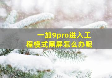 一加9pro进入工程模式黑屏怎么办呢