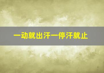 一动就出汗一停汗就止