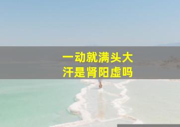 一动就满头大汗是肾阳虚吗