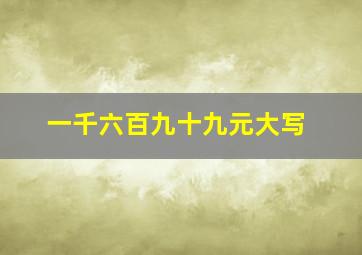 一千六百九十九元大写