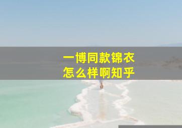 一博同款锦衣怎么样啊知乎