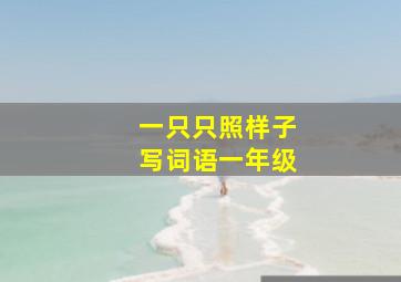 一只只照样子写词语一年级